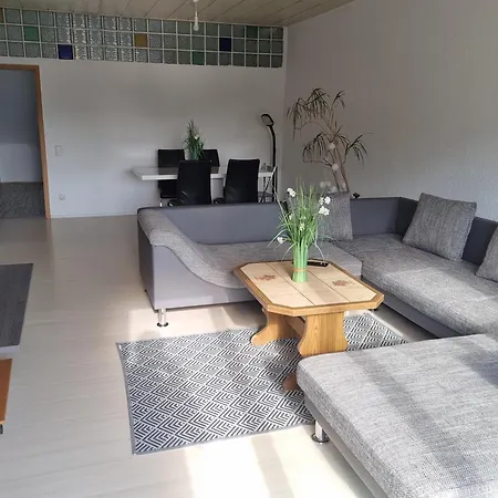 Sehr Schoene 3 Mit Bad Kueche Gaeste Wc Grosser Terrasse In Naehe Heidelberg *