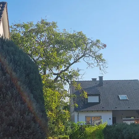 Sehr Schoene 3 Mit Bad Kueche Gaeste Wc Grosser Terrasse In Naehe Heidelberg * مانهايم